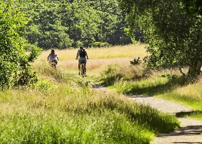 Semesterbostad 8599-glesborg-amagervej-4 *